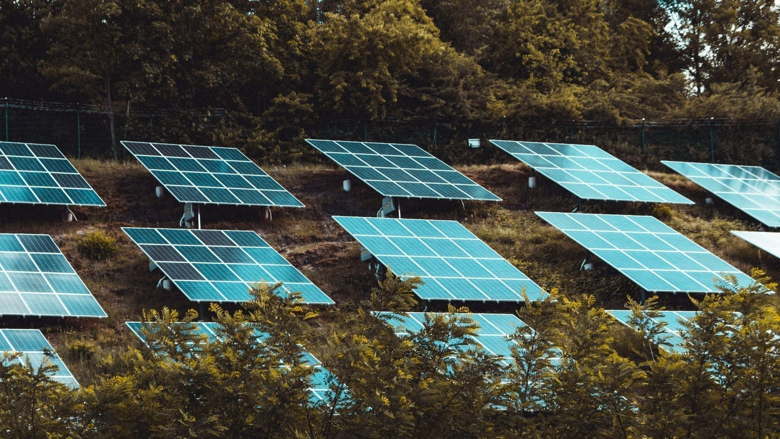 Why Bi-Facial Solar Panels Are the Future of Solar Power